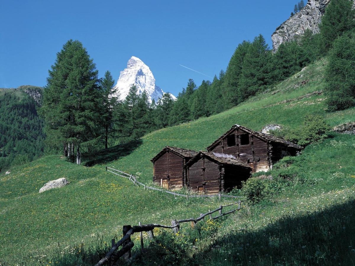 Apartment Grillon-3 By Interhome Zermatt Exterior foto